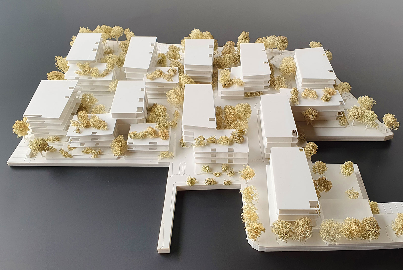 Wettbewerb Wohnbau Bachstrasse HÖ von Jürgen MATZER Architekten